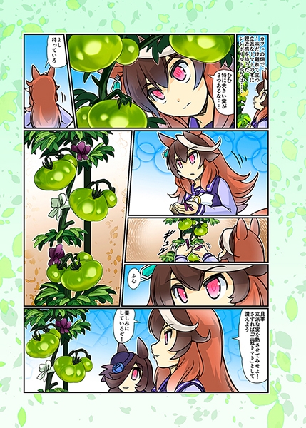 幸せライス!(みんなを幸せにしたいライスシャワー11)