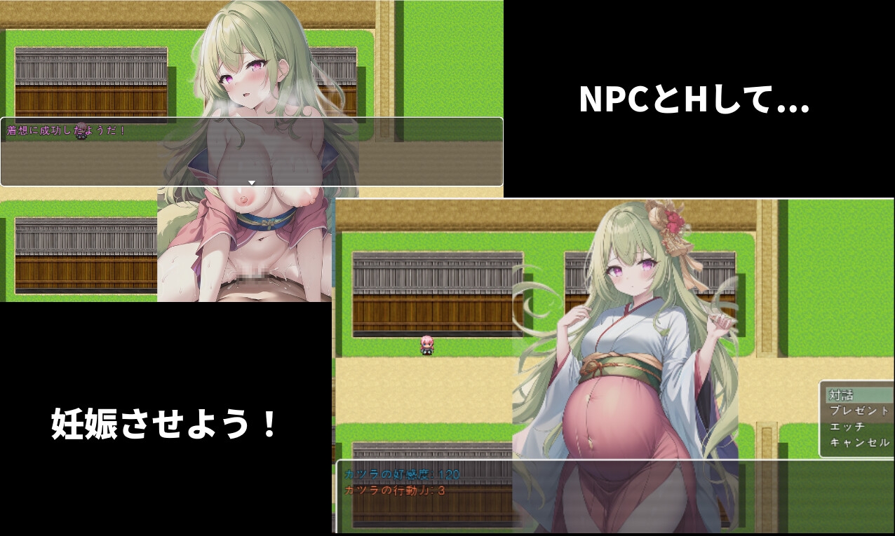 妊娠のプレグナント島