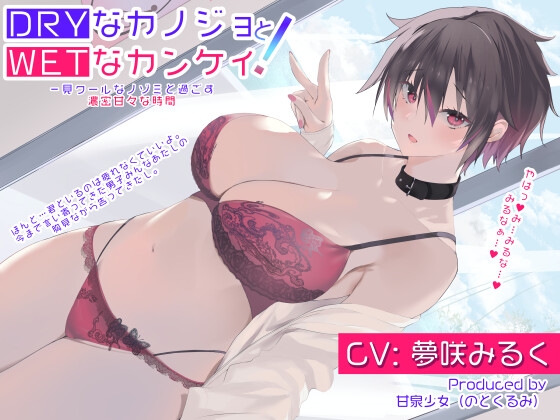 DRYなカノジョWETなカンケイ!
