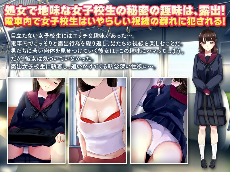 電車露出娘と盗撮ストーカー