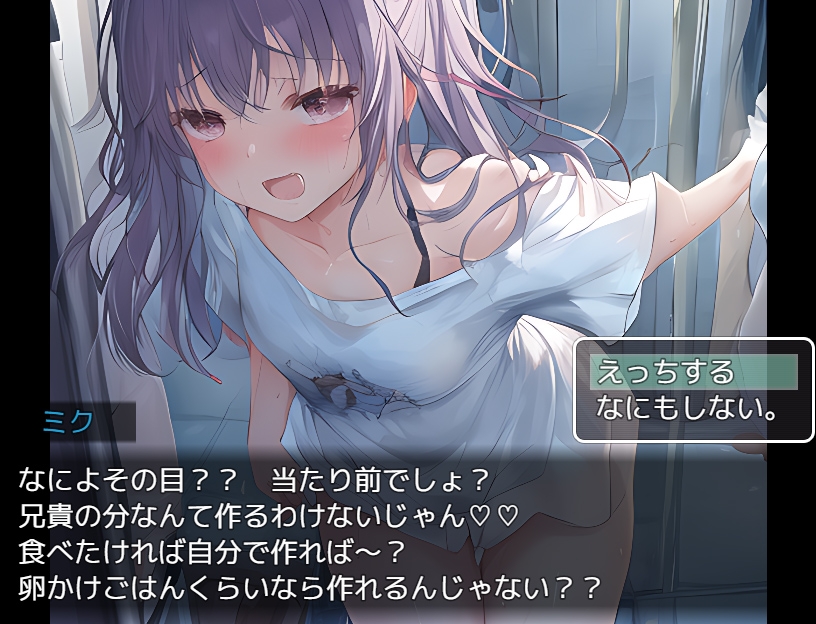 NPC姦～姫とJKと妹を犯せ～