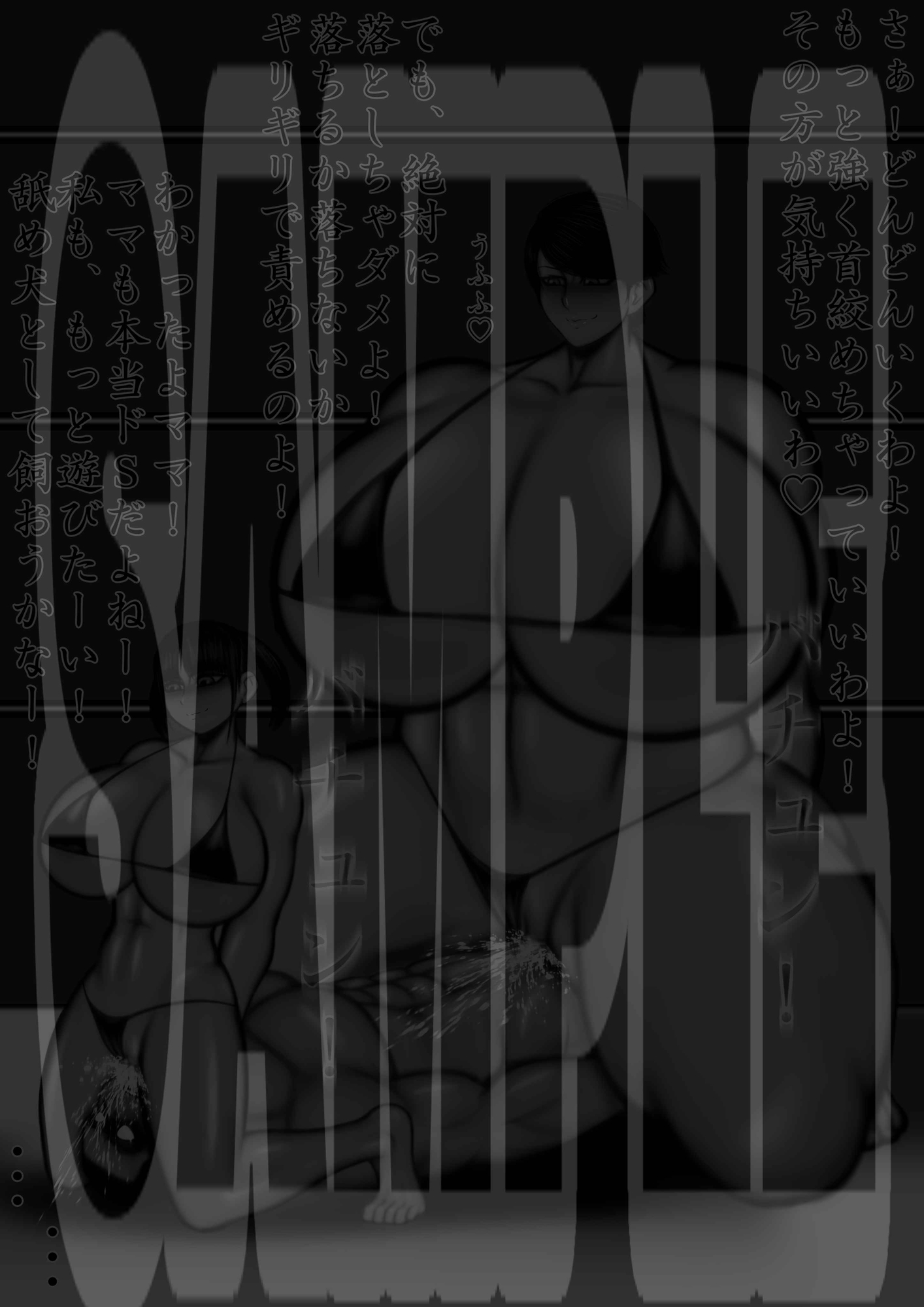 ミックスファイト 年齢差・体格差 ベテラン熟女レスラー編