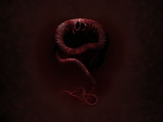 【40枚】ホラーな触手・肉塊のアイテムっぽい画像素材集