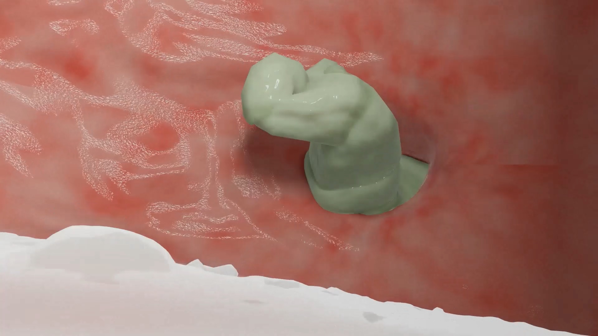 道場破りのカマドウマ