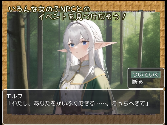 NPC姦～勇者として異世界転生した俺は好き放題犯し尽くす～