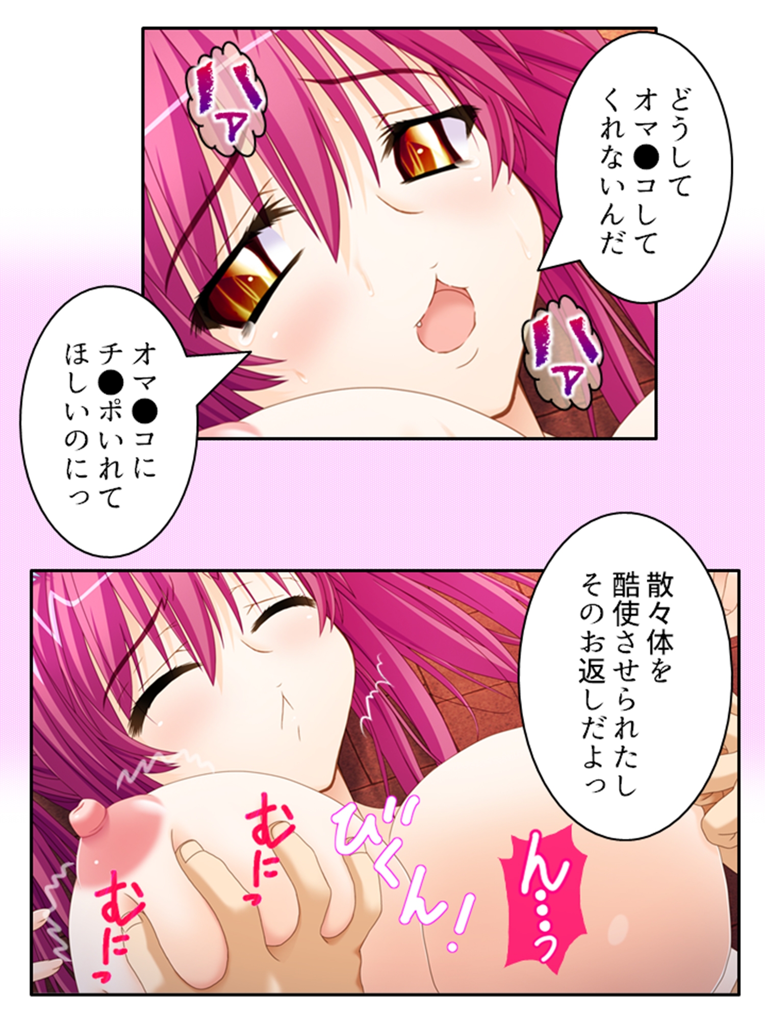 一般人だけど魔王と戦うハメになった、性的な意味で 5巻