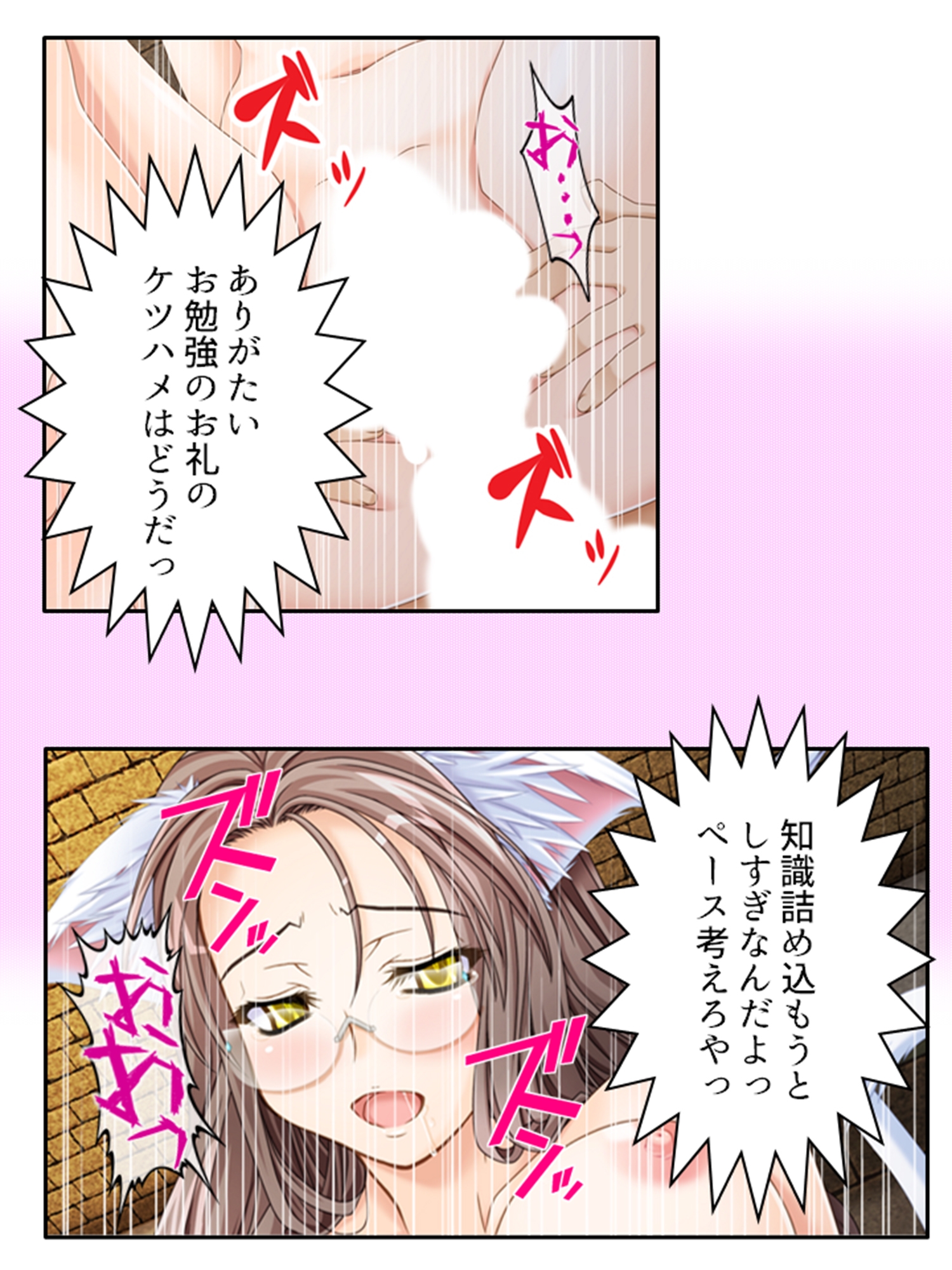 一般人だけど魔王と戦うハメになった、性的な意味で 5巻