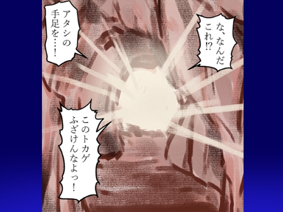 そのヤンキー口調の女魔術師はモンスターに両手両足を固められ、 媚薬毒針を差し込まれた後、通りかかった魔法剣士に肉の剣を挿し込まれた。