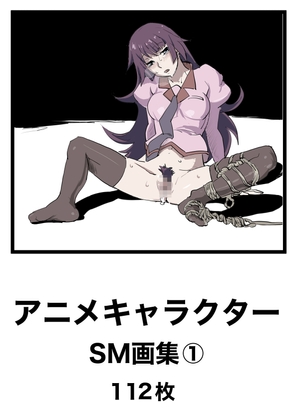 アニメキャラクターSM画集1
