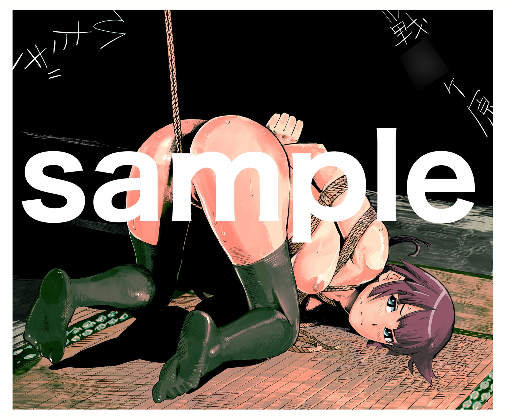アニメキャラクターSM画集1