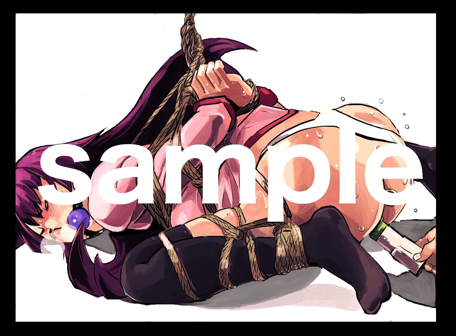 アニメキャラクターSM画集1