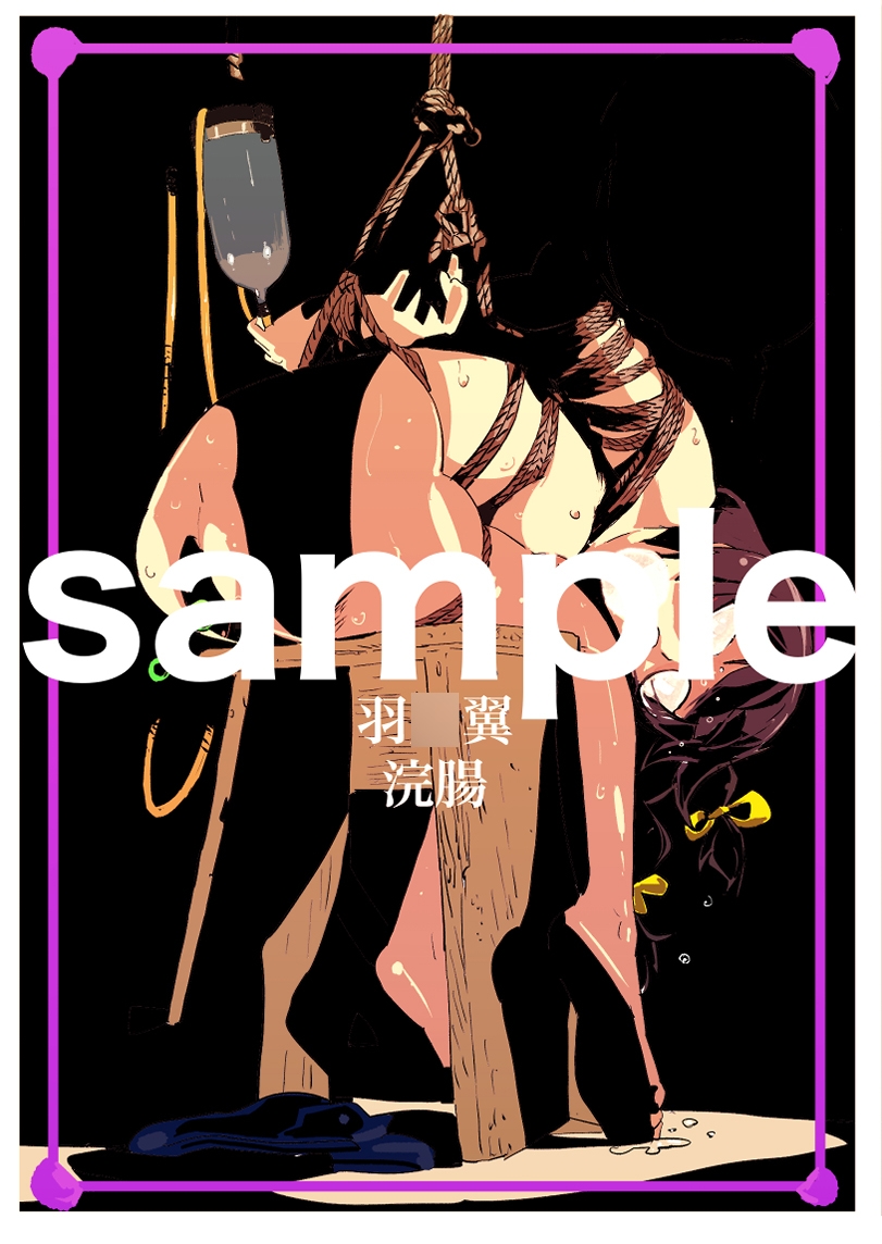 アニメキャラクターSM画集1