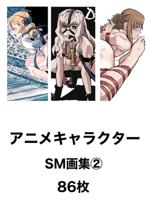 アニメキャラクターSM画集2