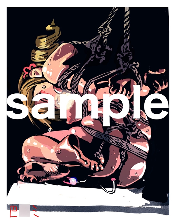 アニメキャラクターSM画集2