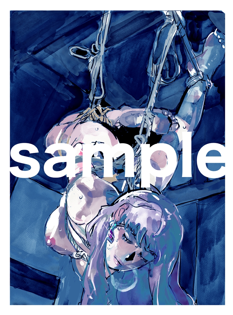 アニメキャラクターSM画集2