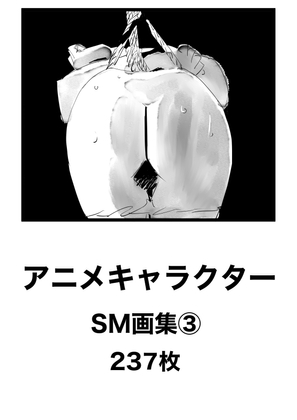 アニメキャラクターSM画集3