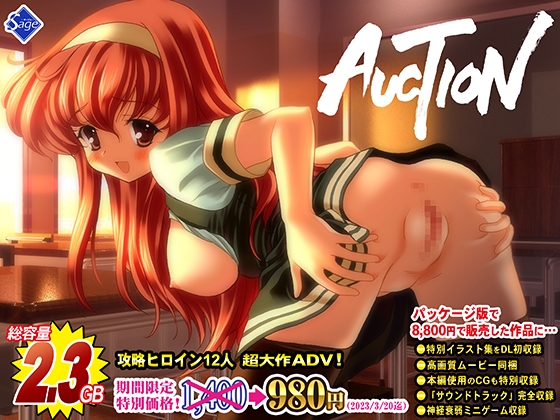 【豪華特典付!】AUCTION -てんこ盛り完全版-