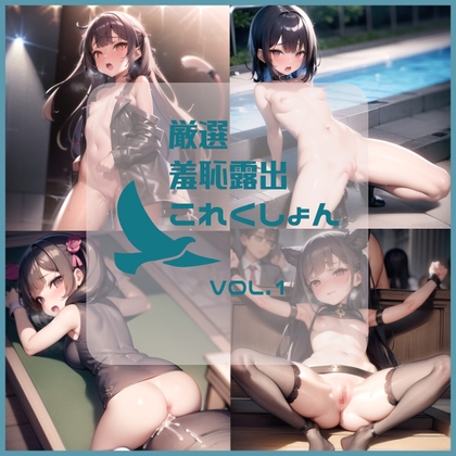 厳選羞恥露出これくしょん vol.1