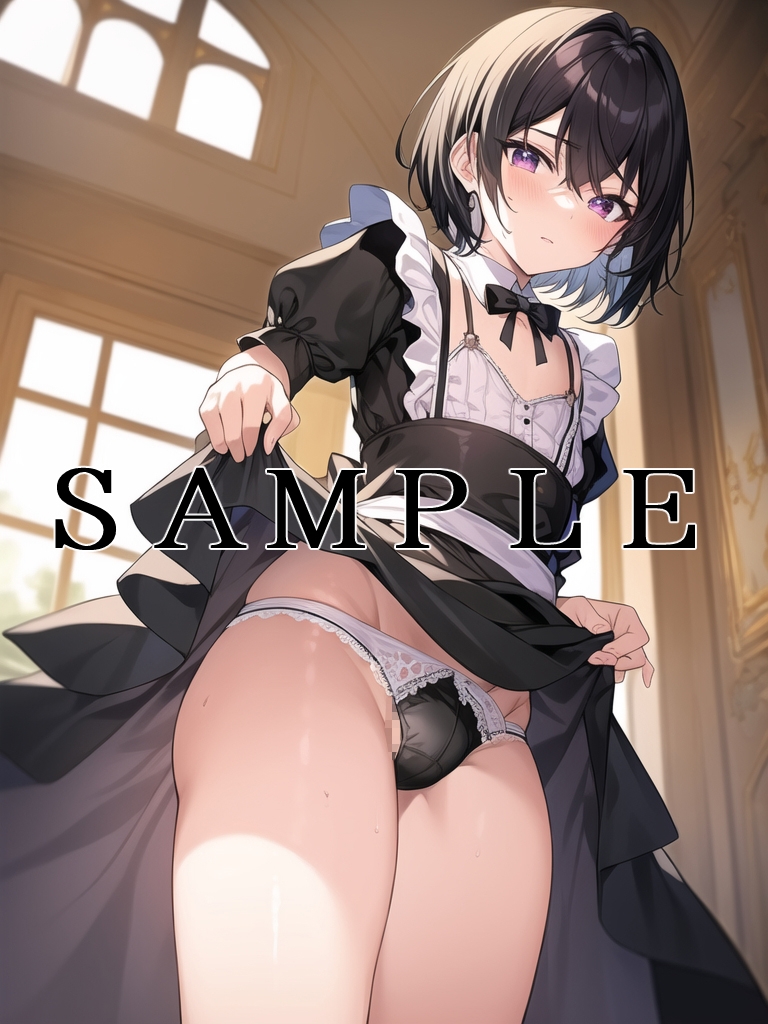 可愛い男の娘メイドがスカートをめくってパンツを見せてくれるだけ2