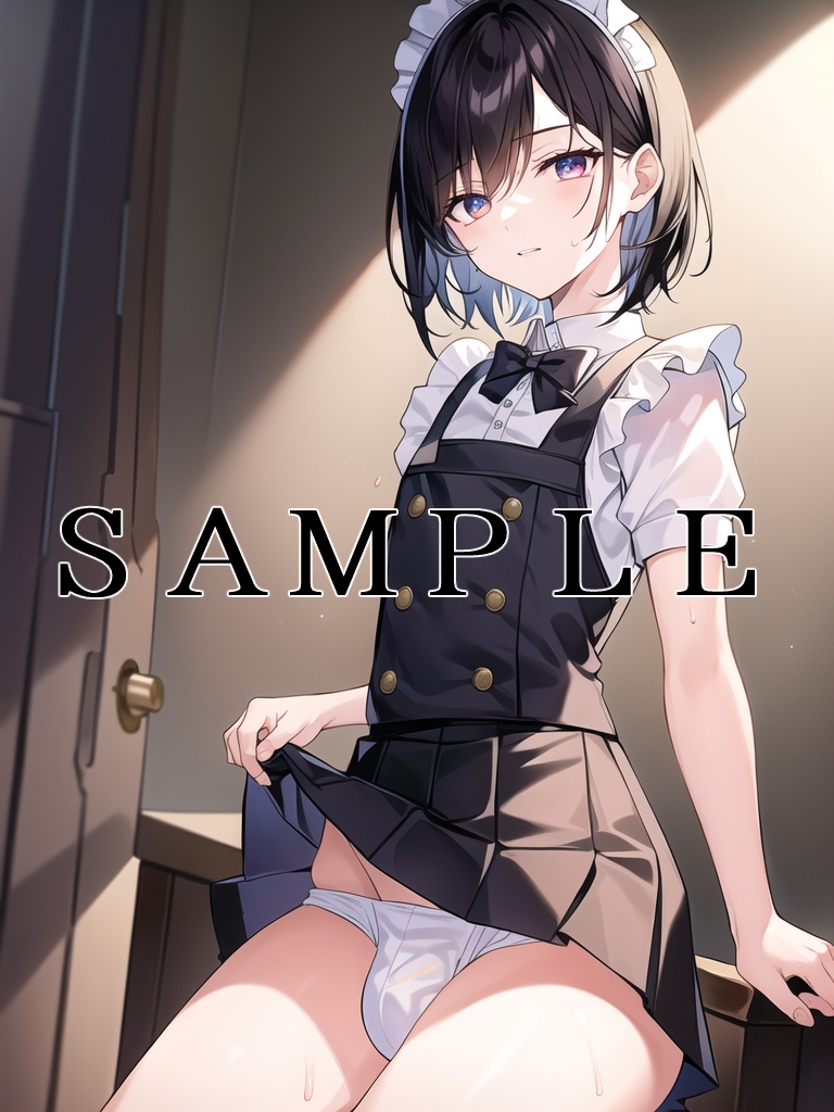 可愛い男の娘メイドがスカートをめくってパンツを見せてくれるだけ2