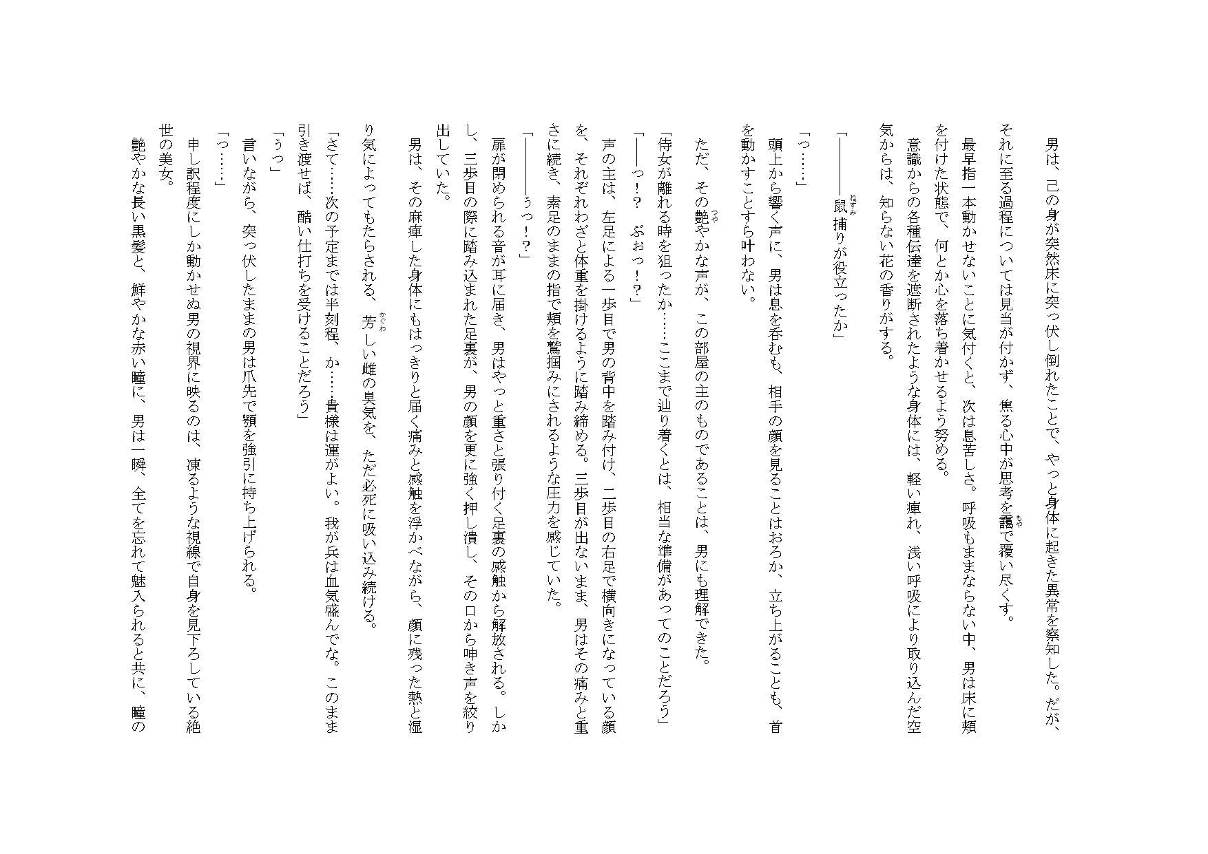 黒髪の姫に嫐られる話