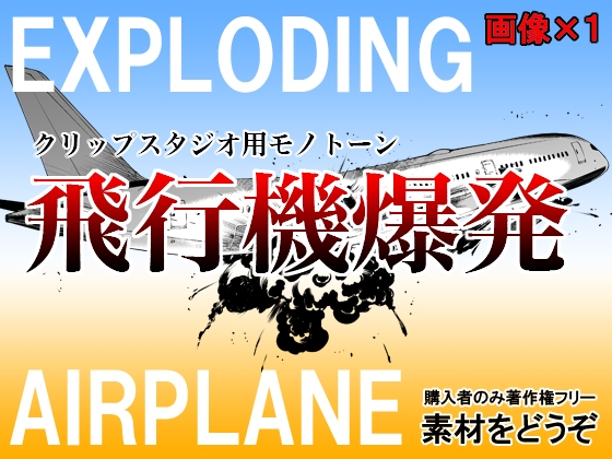 素材をどうぞ『飛行機爆発』