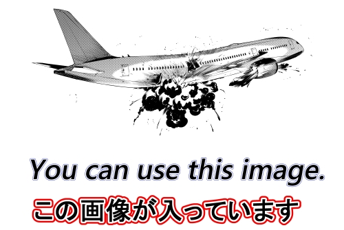 素材をどうぞ『飛行機爆発』