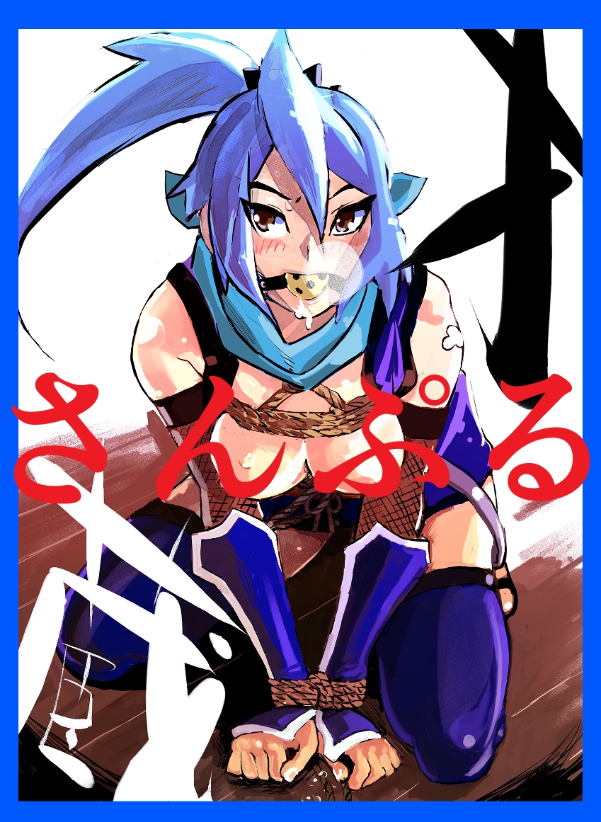 アニメキャラクターSM緊縛画集5