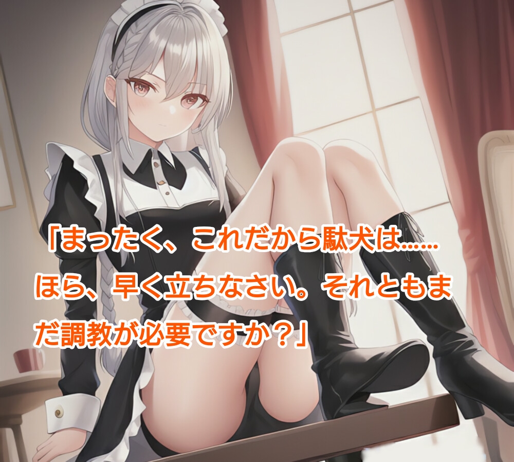 アヤシイウチノメイドサマ