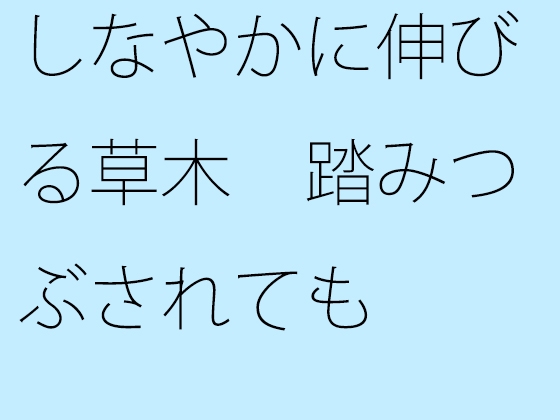 しなやかに伸びる草木 踏みつぶされても