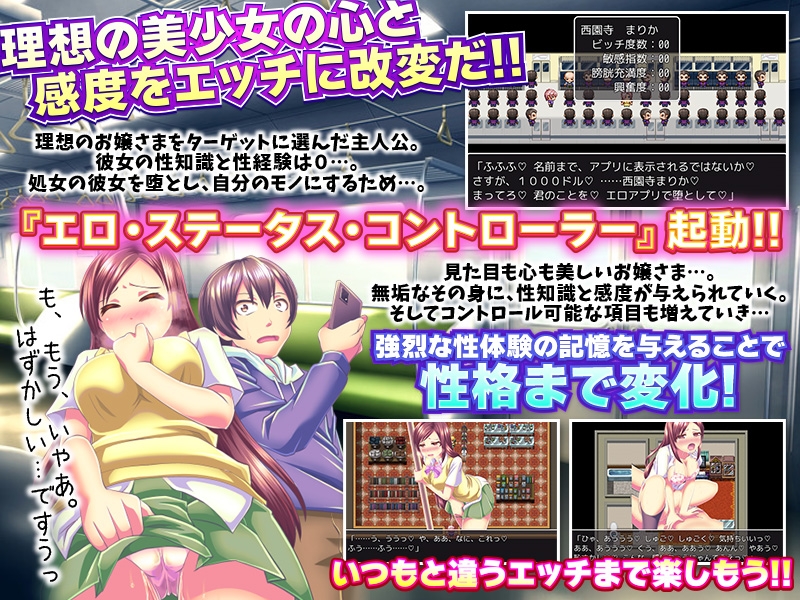 強制発情期!ステータス操作アプリ