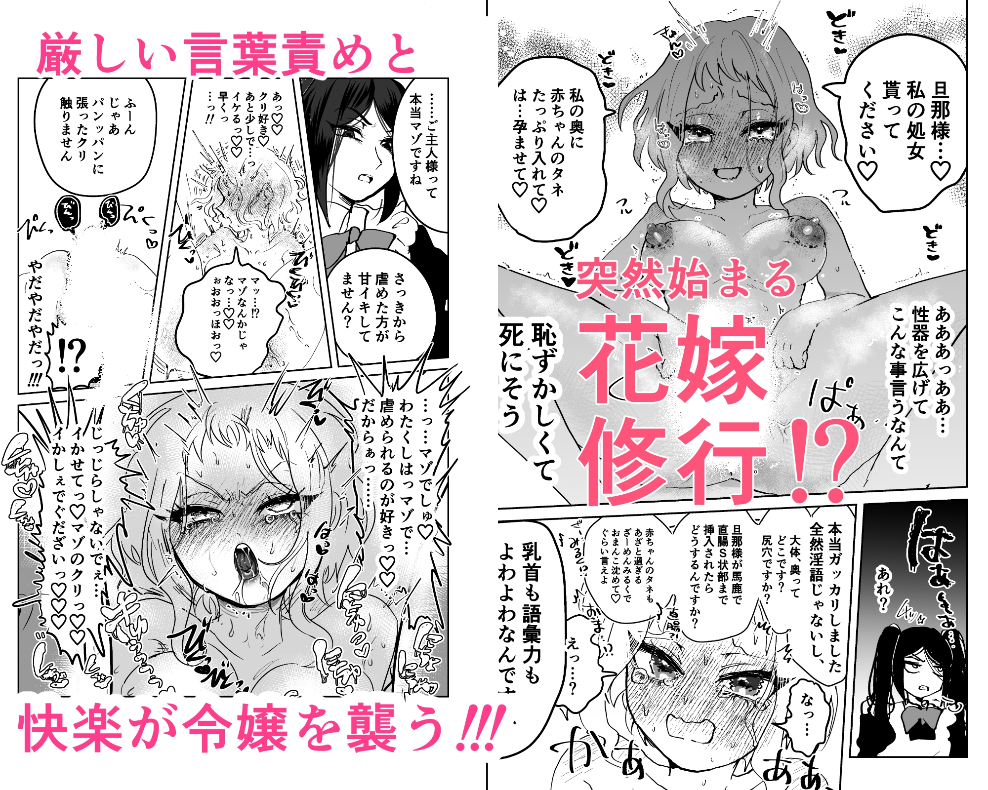 女装メイド♂とドM令嬢