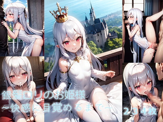 銀髪ロリのお姫様~快感に目覚めるまで~