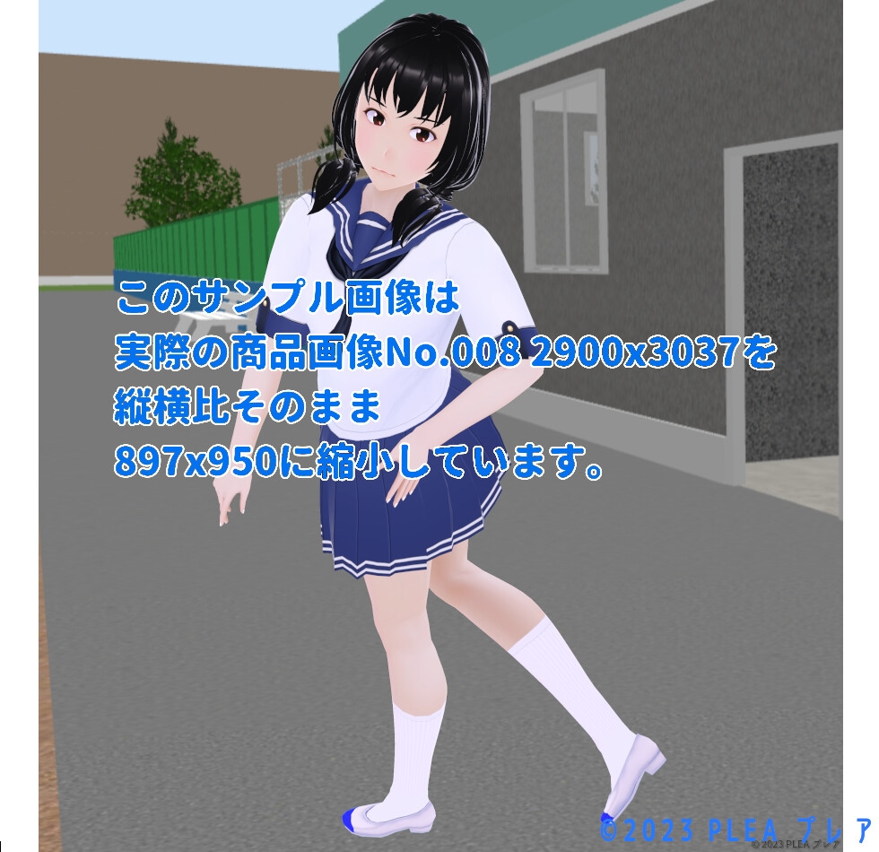 デジタル写真集 スクール・シャルム 日菜子 セーラー服(青) おさげ髪 編 (hinako_su_sailer_blue_2br_001_01)