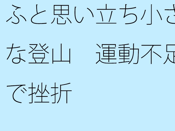 ふと思い立ち小さな登山 運動不足で挫折