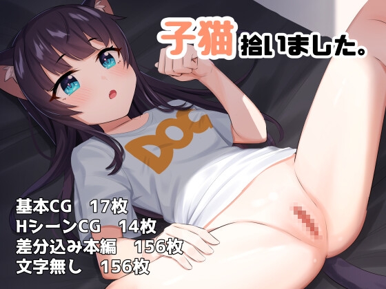 子猫拾いました。