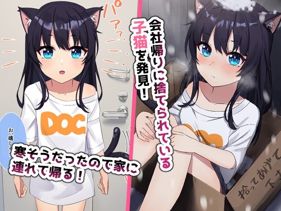 子猫拾いました。