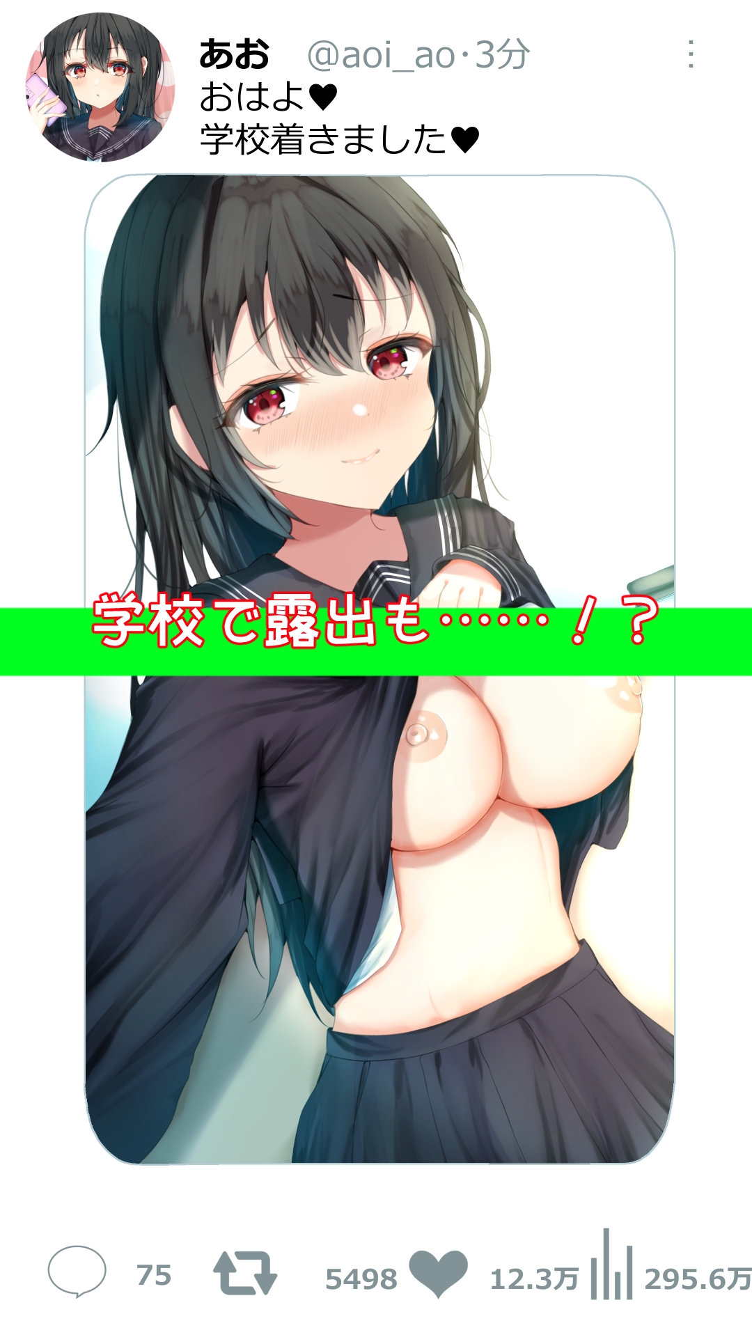 黒髪巨乳な碧ちゃんと秘密のアカウント