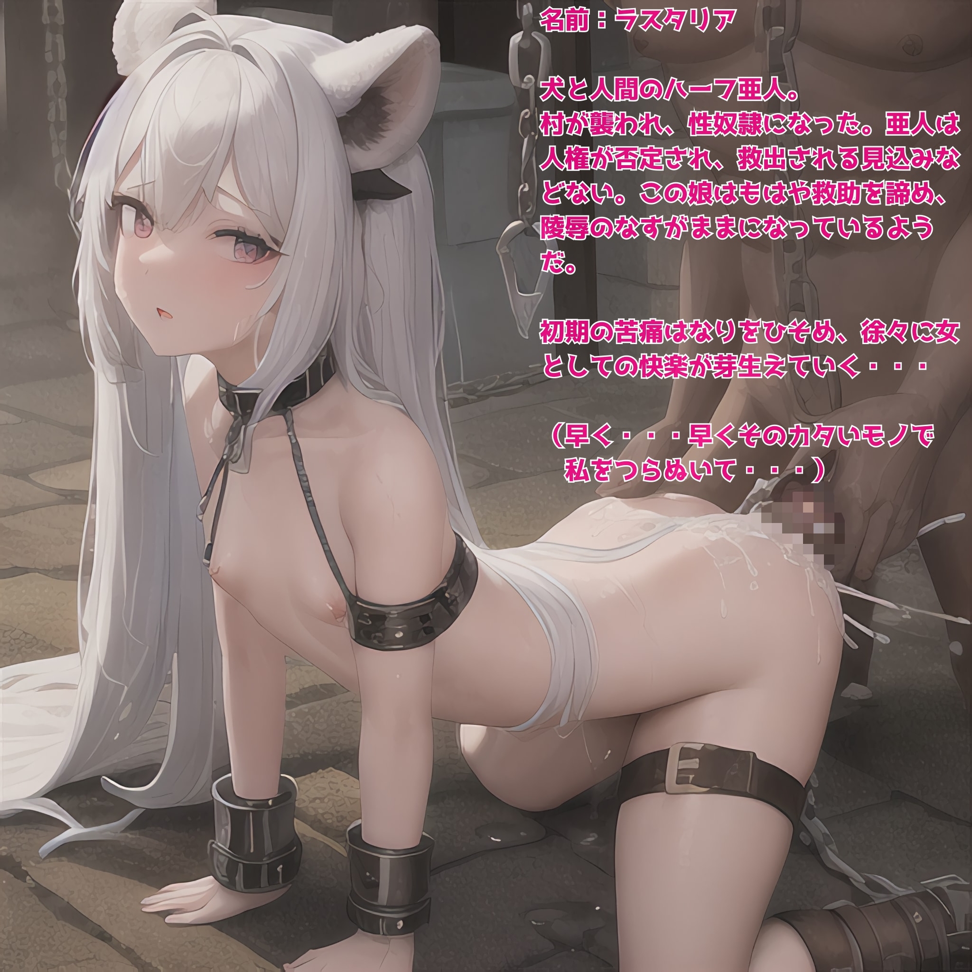 異世界性奴隷画集 〜こうして彼女たちは売られて買われた〜