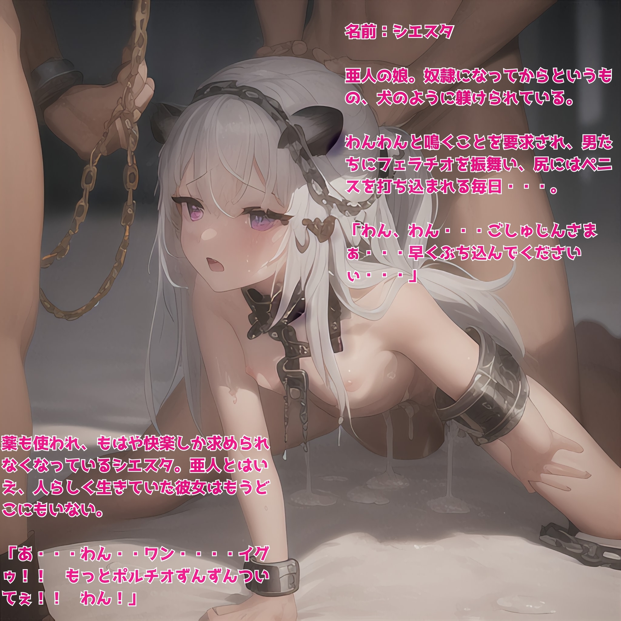 異世界性奴隷画集 〜こうして彼女たちは売られて買われた〜