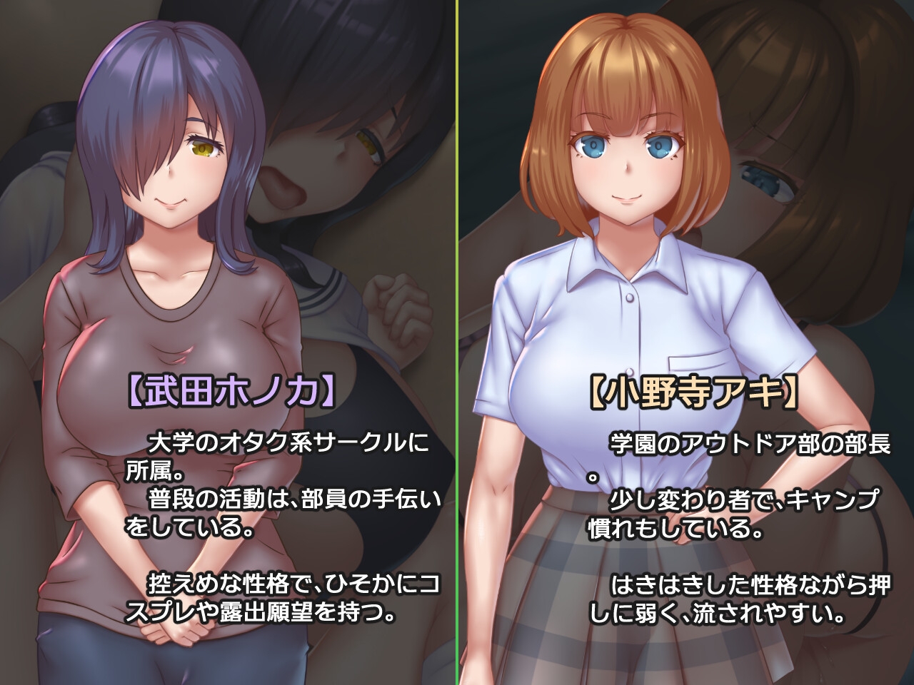 チョロインですか?