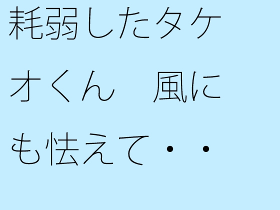 耗弱したタケオくん 風にも怯えて・・・