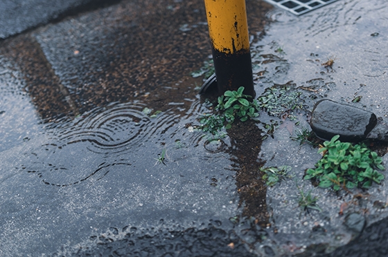 【商用利用可】自然の音～雨の音～