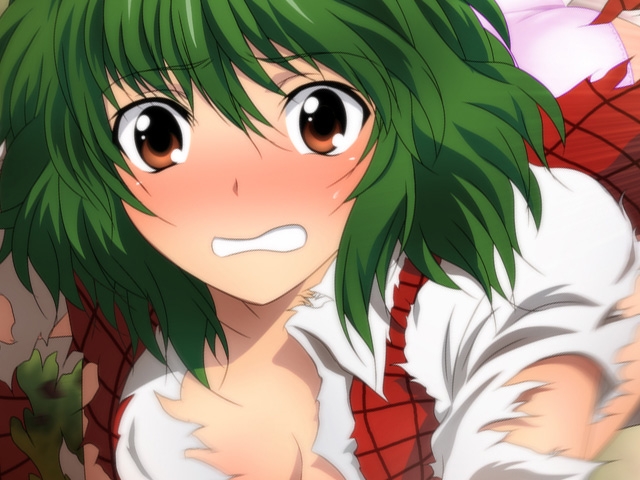 東方ダメージCG集SPECIAL