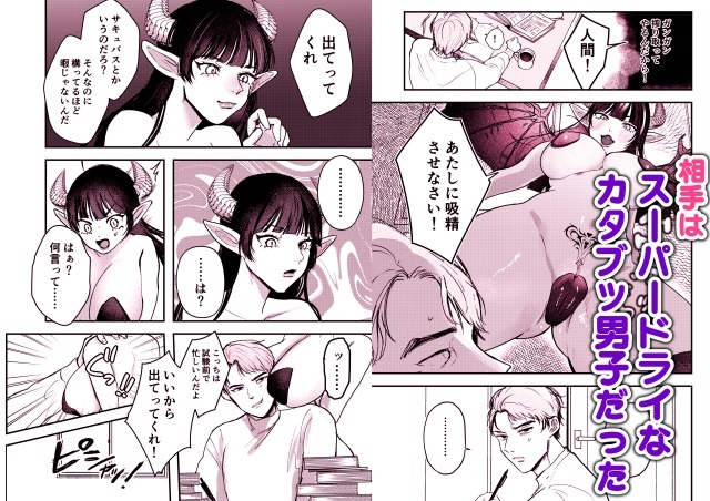 なまいきサキュバスわからせ本