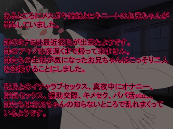 メスガキ姉妹を盗撮してみた。