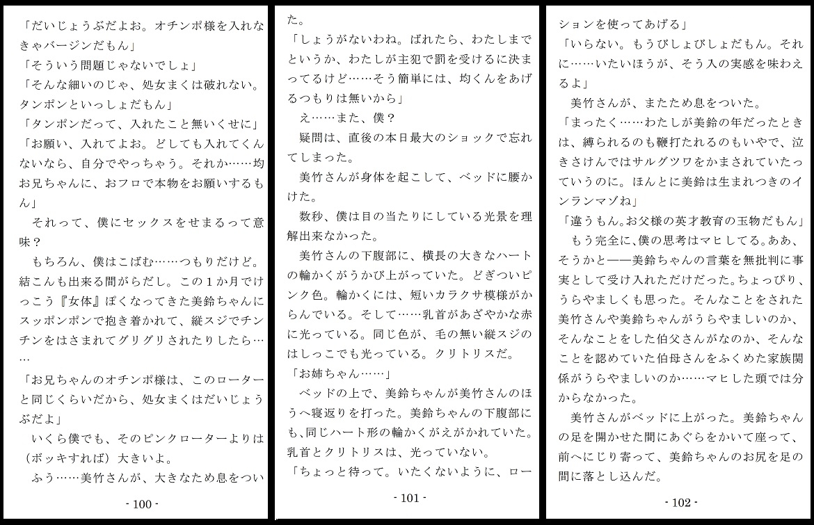 女神様と王女様といとこの(下)僕