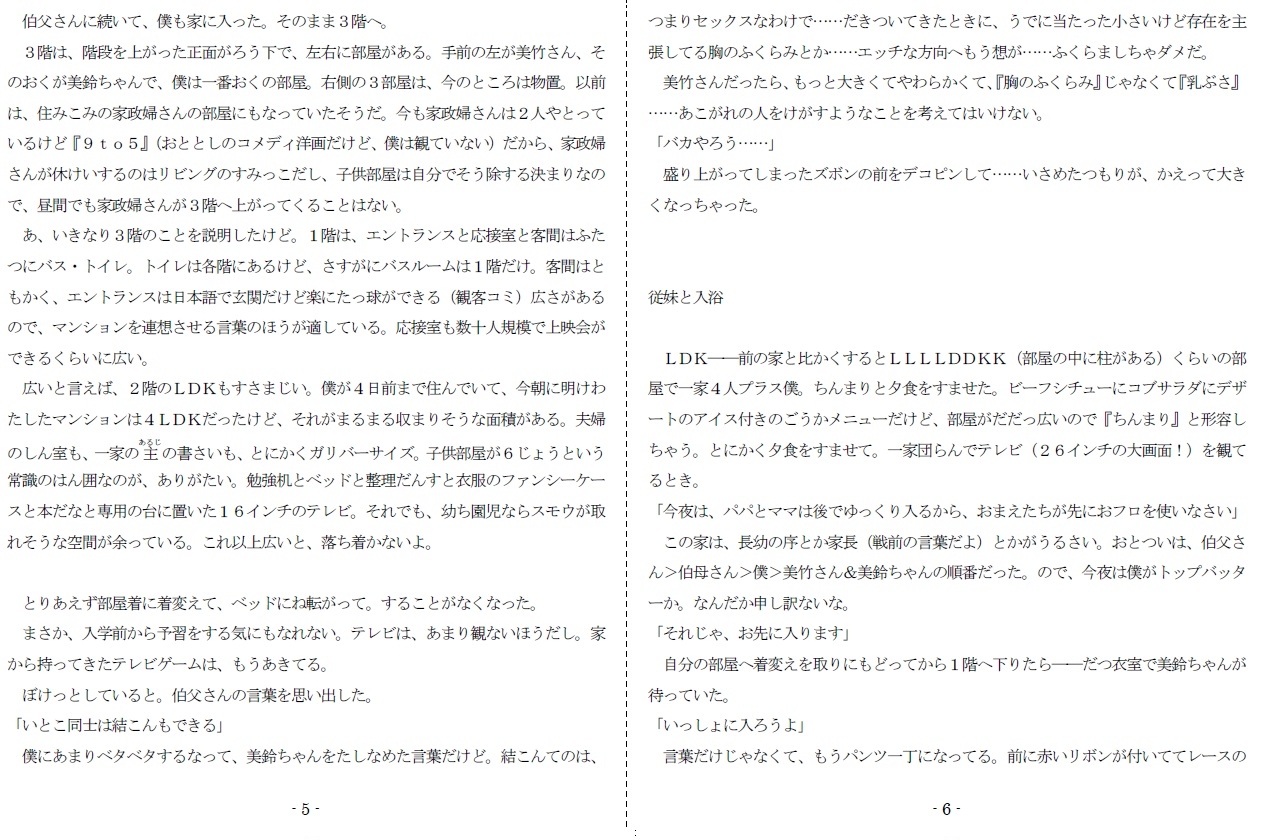 女神様と王女様といとこの(下)僕