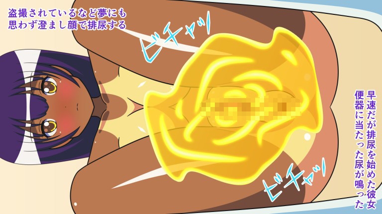 盗撮された排泄乙女たち～コンプリートセット+4K～