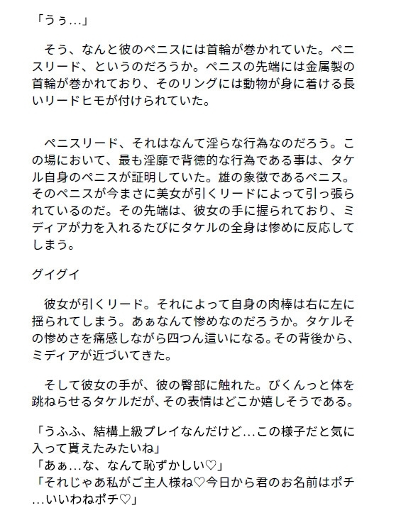 【サキュバス嬢専門】M性感風俗店マゾ犬ペットプレイコース